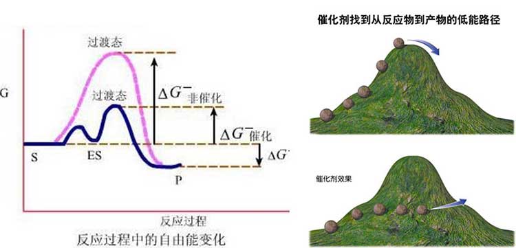 催化劑工作原理